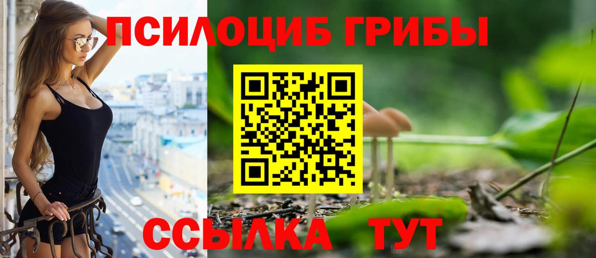 Галлюциногенные грибы прущие грибы Подольск